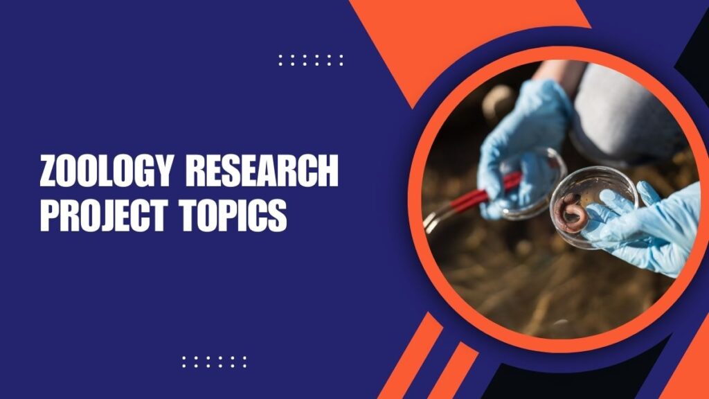 Zoology Research Project Topics